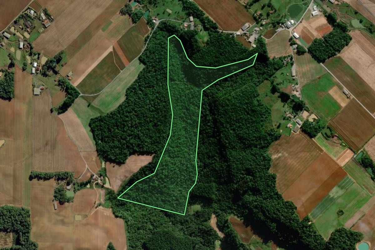 Imagem de satélite do imóvel rural em Ituporanga (SC), com o contorno declarado no CAR desenhado por cima.