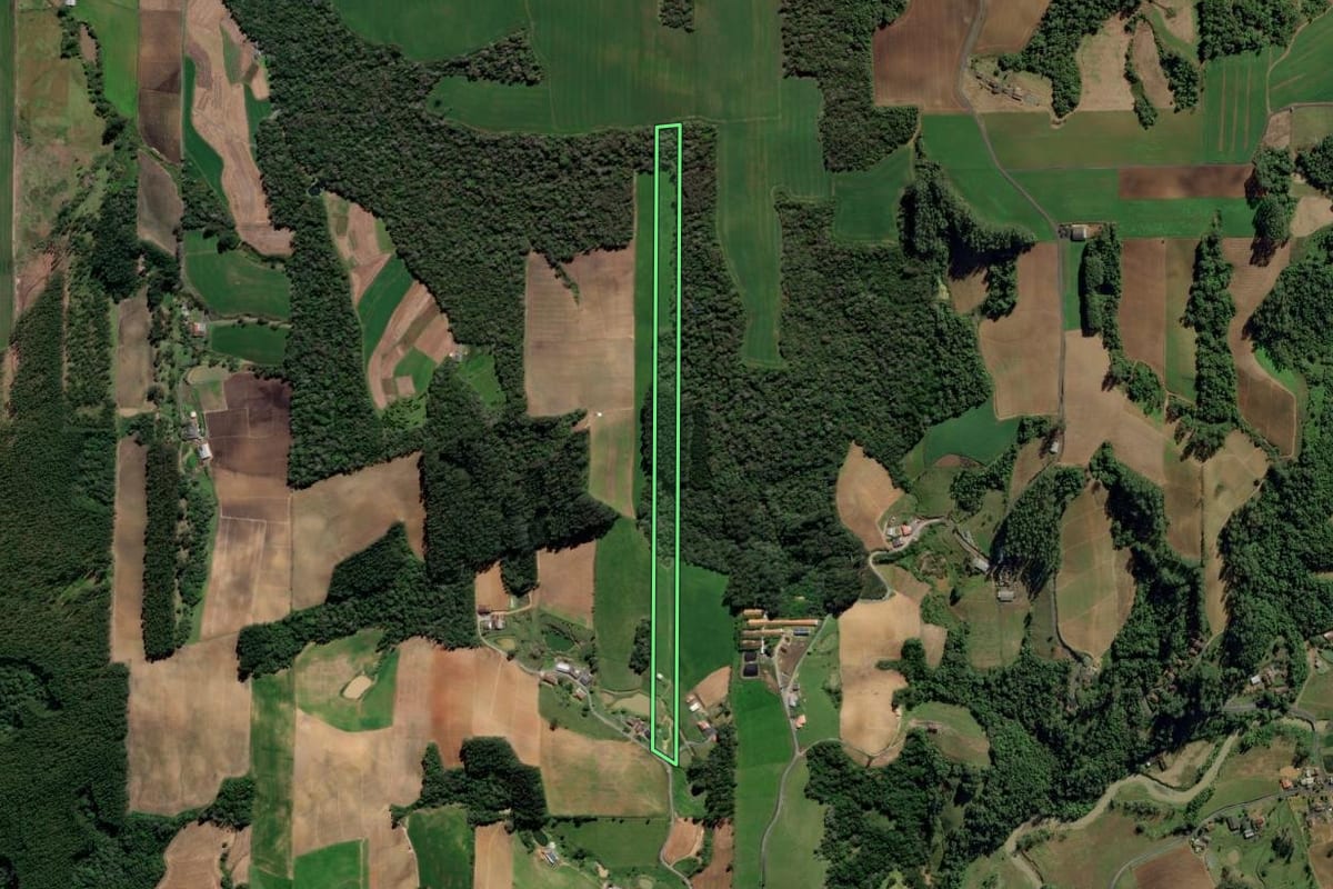 Imagem de satélite do imóvel rural em Ituporanga (SC), com o contorno declarado no CAR desenhado por cima.
