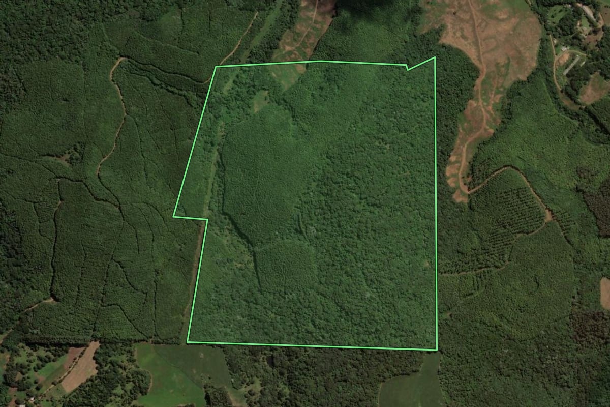 Imagem de satélite do imóvel rural em Jaborá (SC), com o contorno declarado no CAR desenhado por cima.