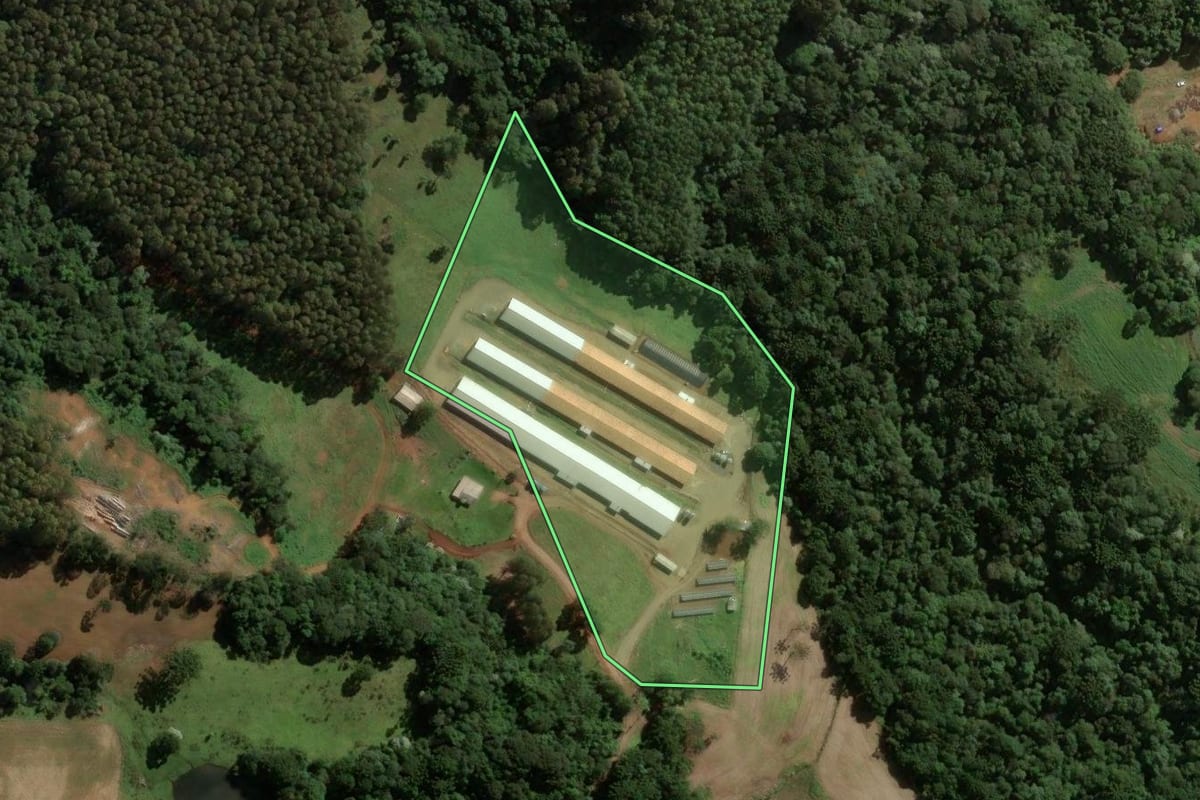 Imagem de satélite do imóvel rural em Jaborá (SC), com o contorno declarado no CAR desenhado por cima.