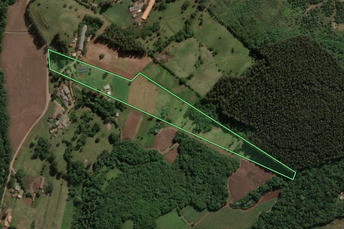 Imagem de satélite do imóvel rural em Jaborá (SC), com o contorno declarado no CAR desenhado por cima.