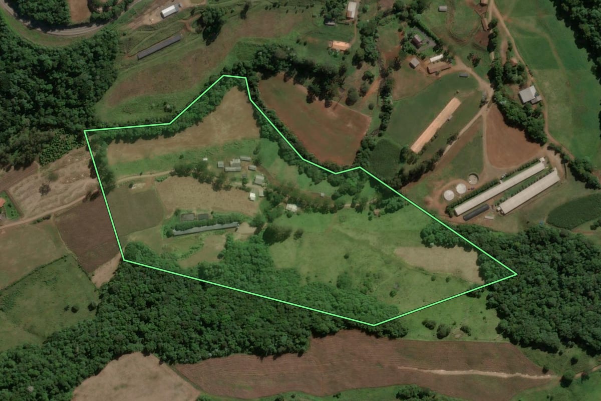 Imagem de satélite do imóvel rural em Jaborá (SC), com o contorno declarado no CAR desenhado por cima.