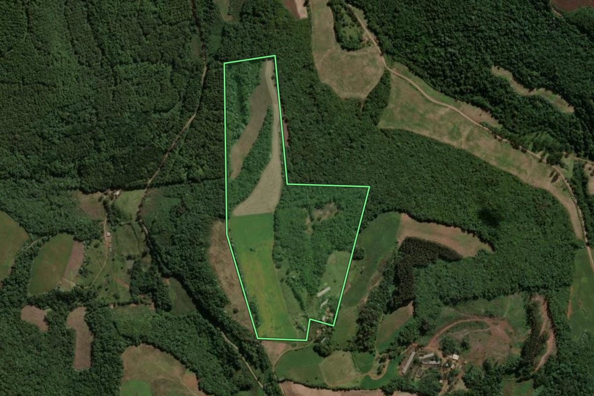 Imagem de satélite do imóvel rural em Jaborá (SC), com o contorno declarado no CAR desenhado por cima.