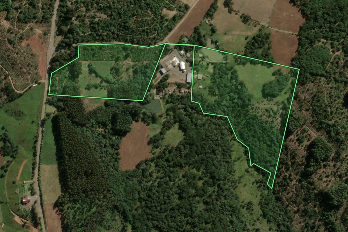 Imagem de satélite do imóvel rural em Jaborá (SC), com o contorno declarado no CAR desenhado por cima.