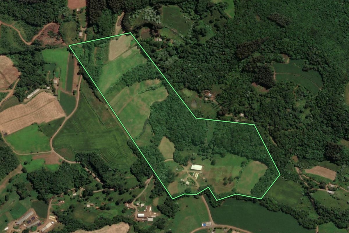Imagem de satélite do imóvel rural em Jaborá (SC), com o contorno declarado no CAR desenhado por cima.