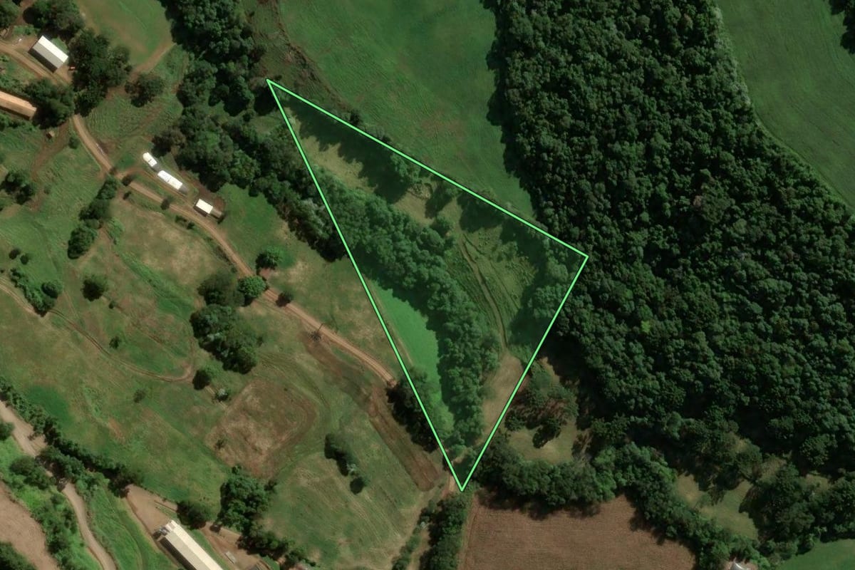 Imagem de satélite do imóvel rural em Jaborá (SC), com o contorno declarado no CAR desenhado por cima.