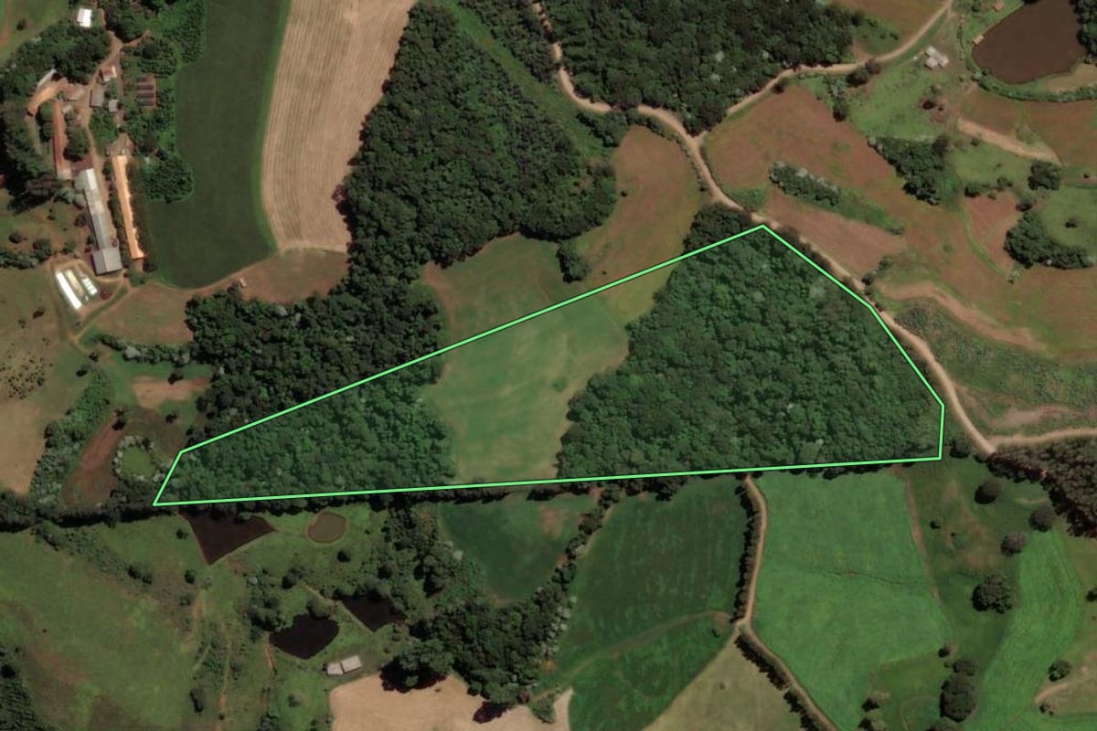 Imagem de satélite do imóvel rural em Jaborá (SC), com o contorno declarado no CAR desenhado por cima.