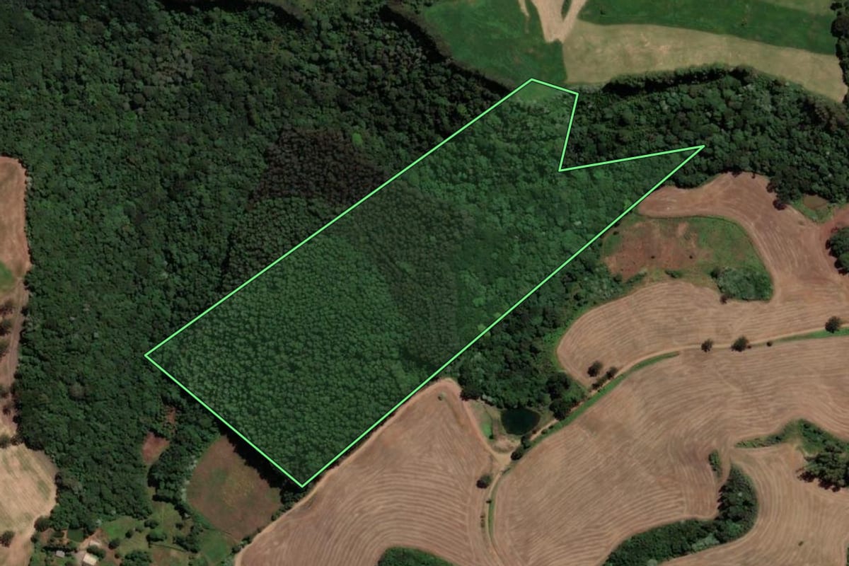 Imagem de satélite do imóvel rural em Jaborá (SC), com o contorno declarado no CAR desenhado por cima.