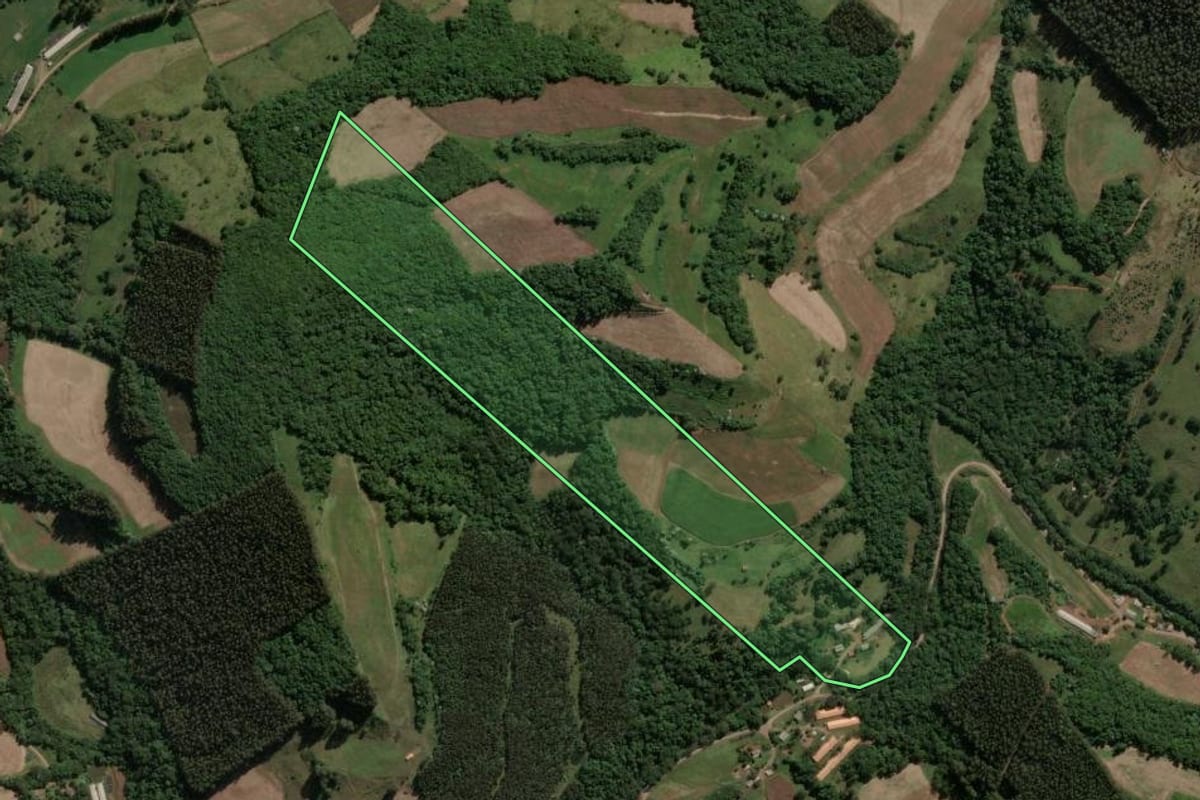 Imagem de satélite do imóvel rural em Jaborá (SC), com o contorno declarado no CAR desenhado por cima.