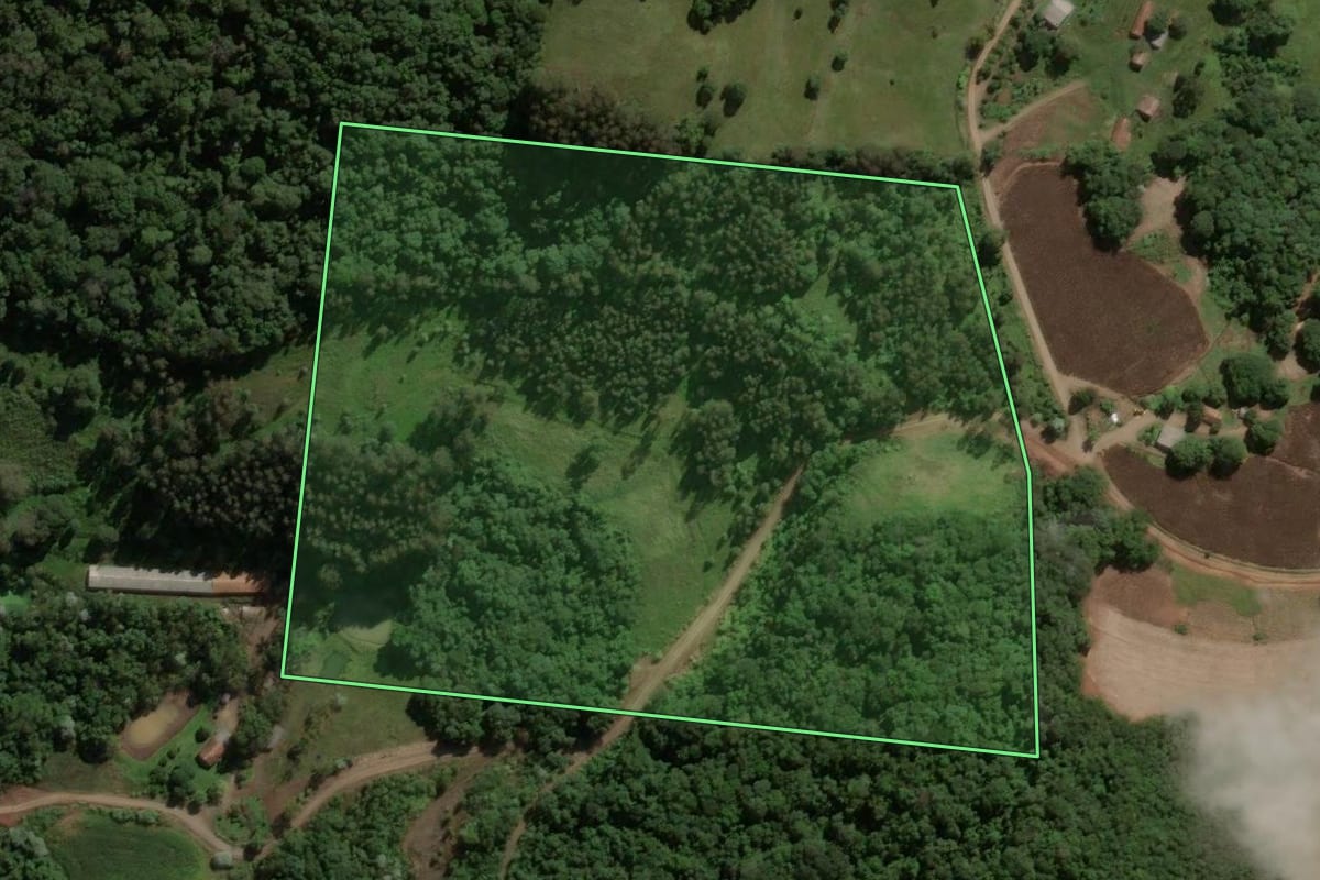 Imagem de satélite do imóvel rural em Jaborá (SC), com o contorno declarado no CAR desenhado por cima.