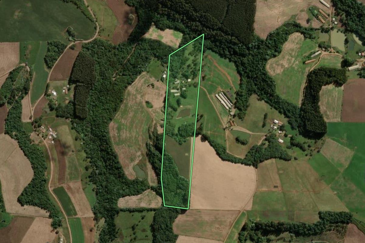 Imagem de satélite do imóvel rural em Jaborá (SC), com o contorno declarado no CAR desenhado por cima.