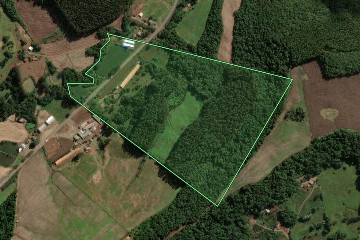 Imagem de satélite do imóvel rural em Jaborá (SC), com o contorno declarado no CAR desenhado por cima.