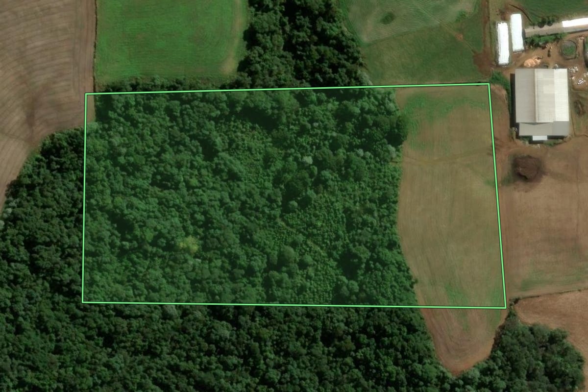 Imagem de satélite do imóvel rural em Jaborá (SC), com o contorno declarado no CAR desenhado por cima.