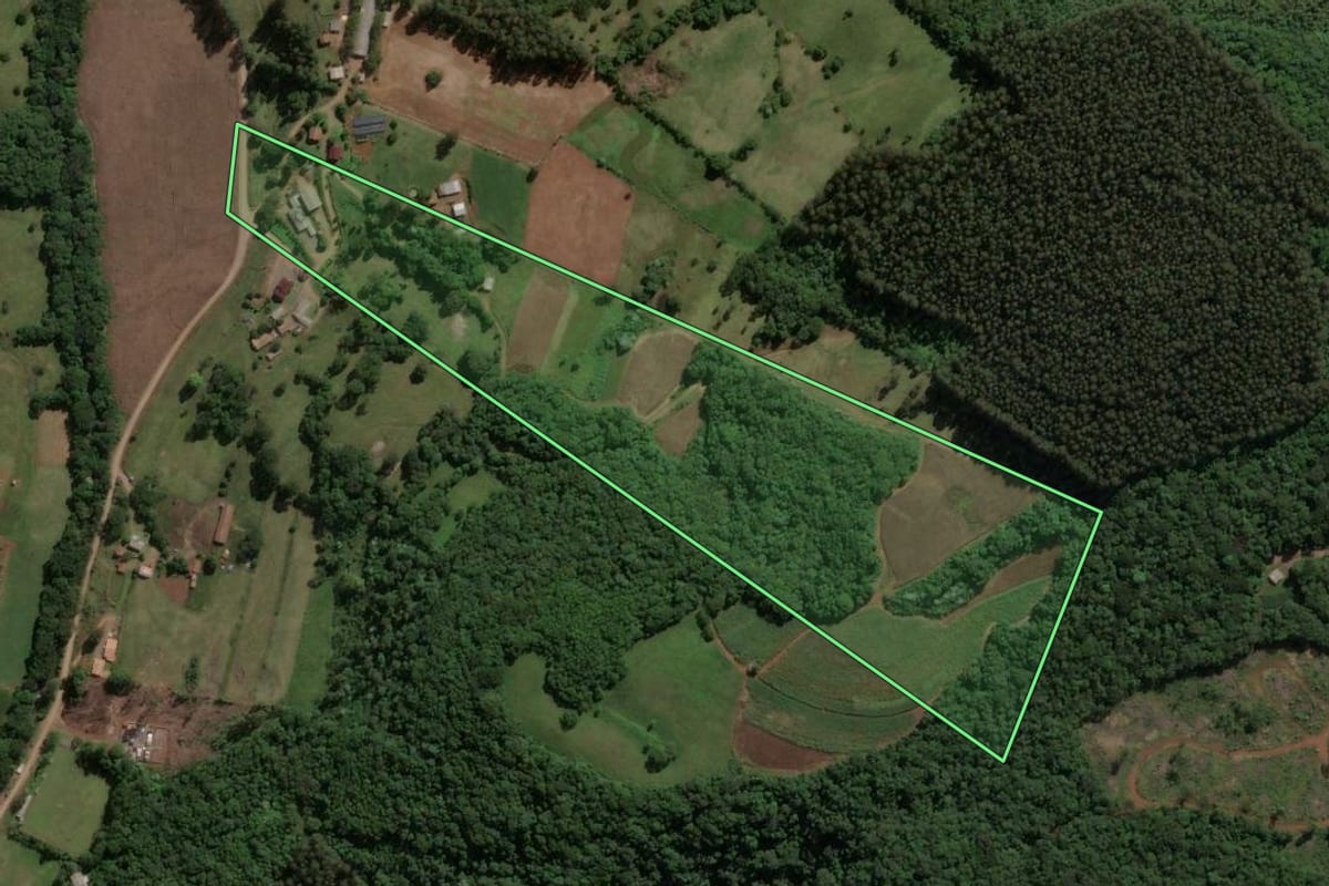 Imagem de satélite do imóvel rural em Jaborá (SC), com o contorno declarado no CAR desenhado por cima.