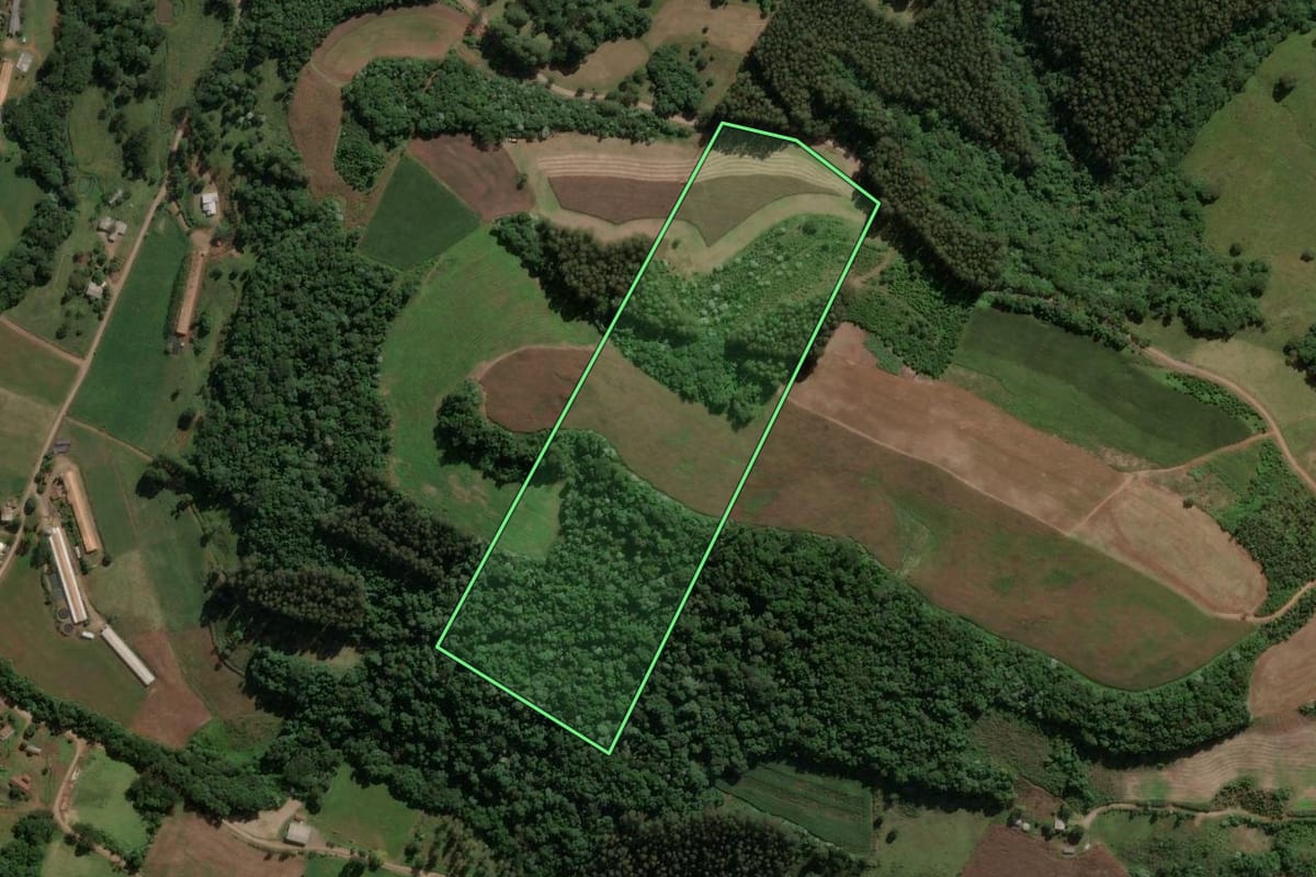 Imagem de satélite do imóvel rural em Jaborá (SC), com o contorno declarado no CAR desenhado por cima.