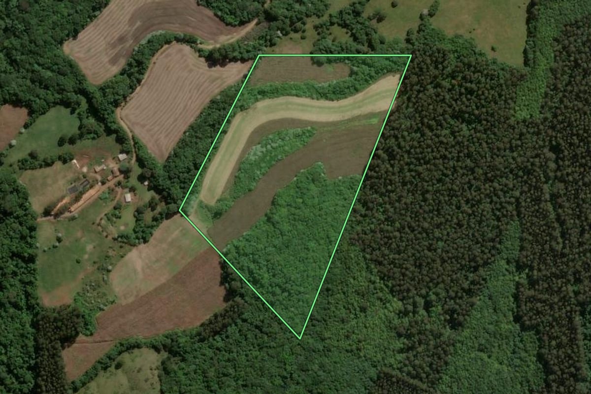 Imagem de satélite do imóvel rural em Jaborá (SC), com o contorno declarado no CAR desenhado por cima.
