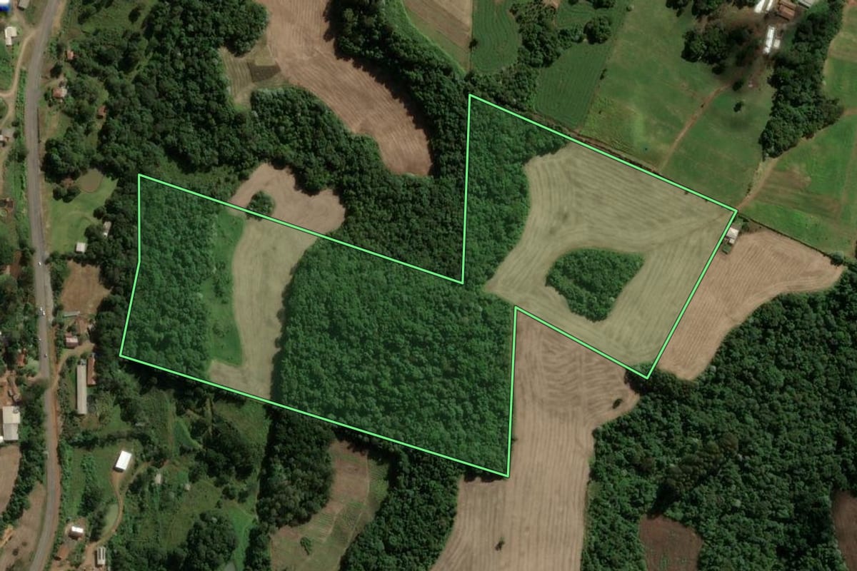 Imagem de satélite do imóvel rural em Jaborá (SC), com o contorno declarado no CAR desenhado por cima.