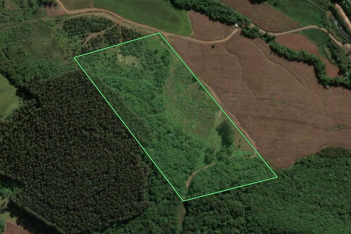 Imagem de satélite do imóvel rural em Jaborá (SC), com o contorno declarado no CAR desenhado por cima.