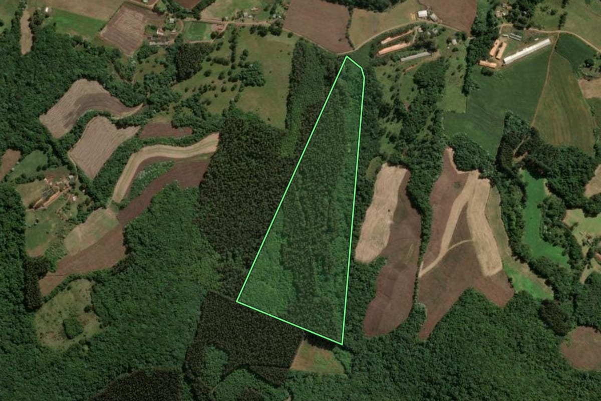 Imagem de satélite do imóvel rural em Jaborá (SC), com o contorno declarado no CAR desenhado por cima.