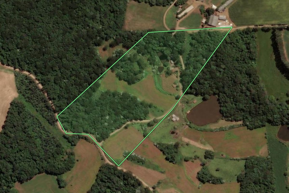 Imagem de satélite do imóvel rural em Jaborá (SC), com o contorno declarado no CAR desenhado por cima.