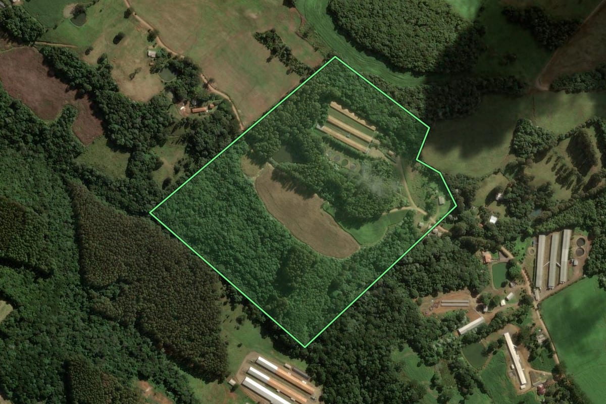 Imagem de satélite do imóvel rural em Jaborá (SC), com o contorno declarado no CAR desenhado por cima.