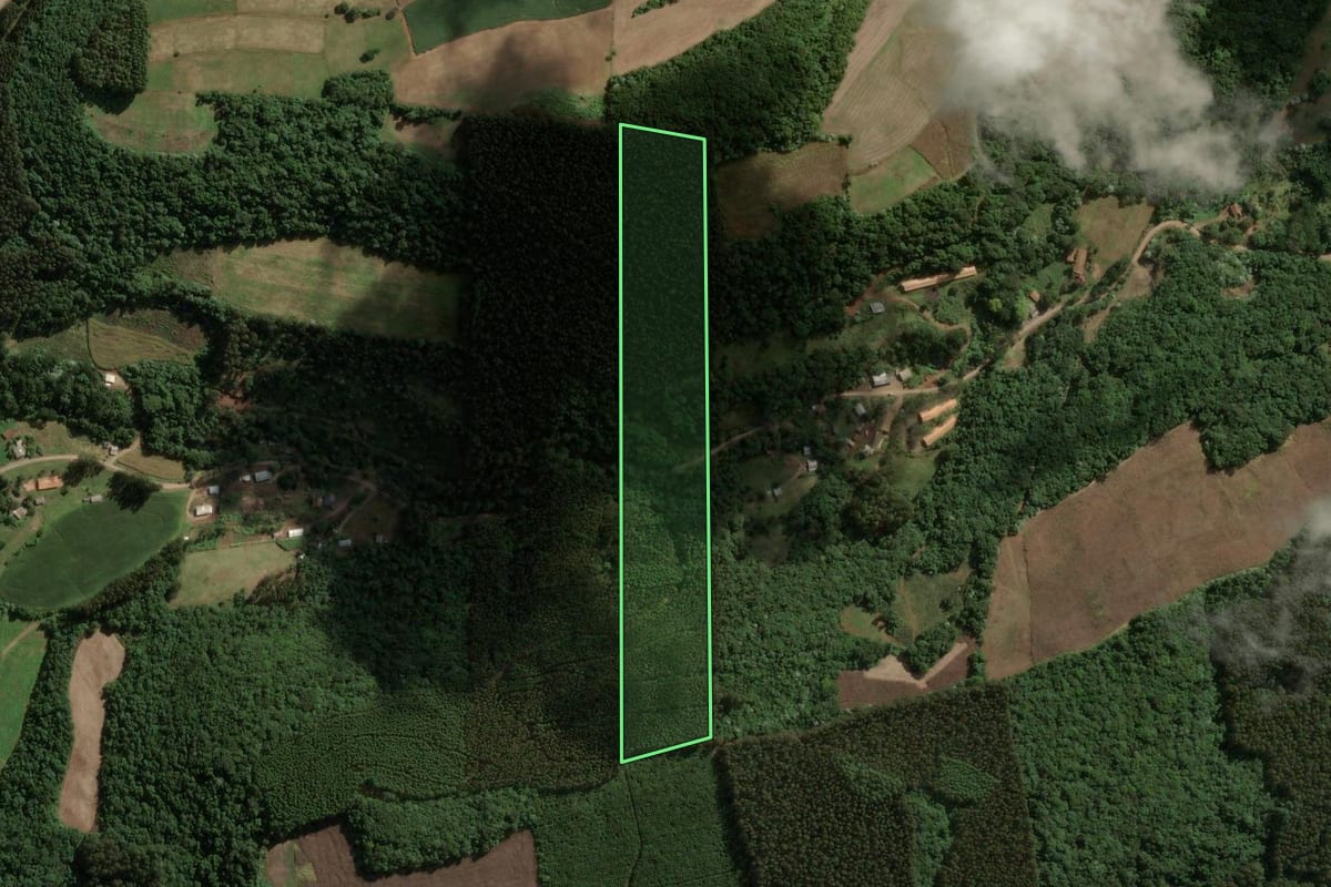Imagem de satélite do imóvel rural em Jaborá (SC), com o contorno declarado no CAR desenhado por cima.