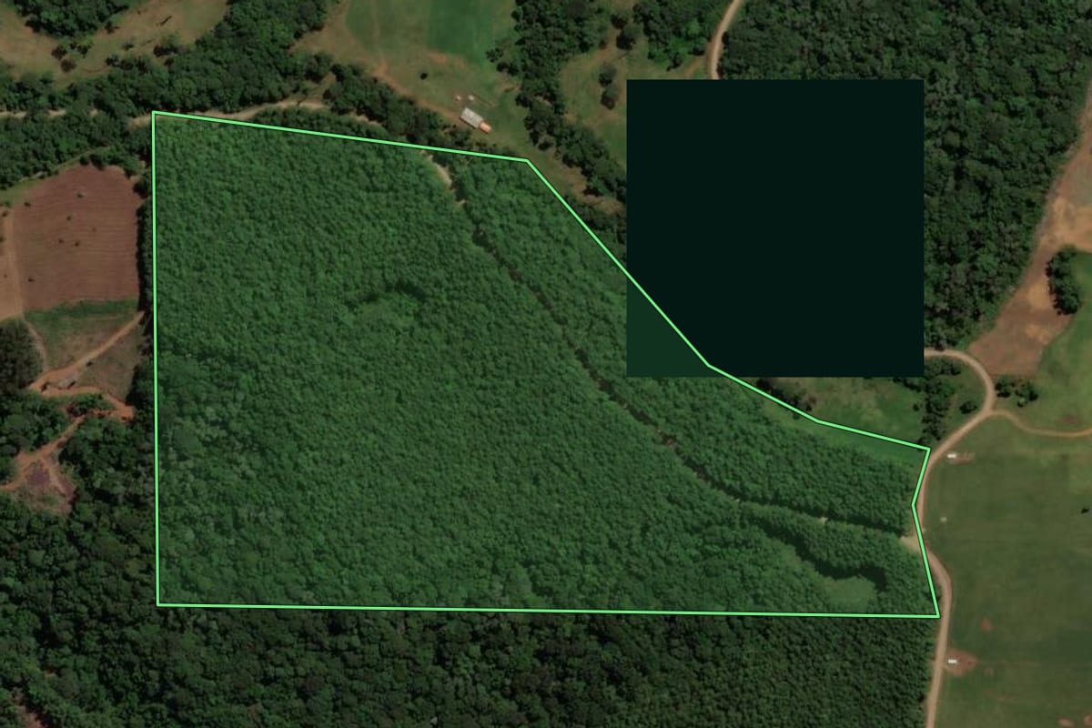 Imagem de satélite do imóvel rural em Jaborá (SC), com o contorno declarado no CAR desenhado por cima.