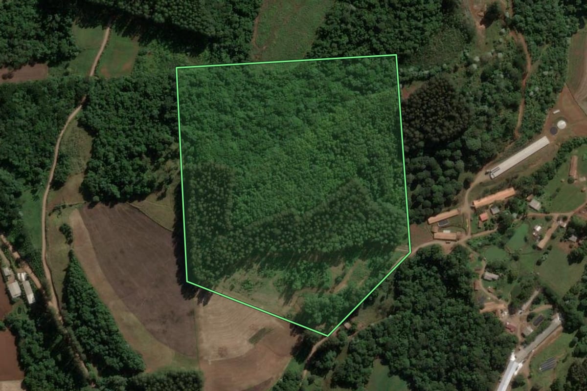 Imagem de satélite do imóvel rural em Jaborá (SC), com o contorno declarado no CAR desenhado por cima.