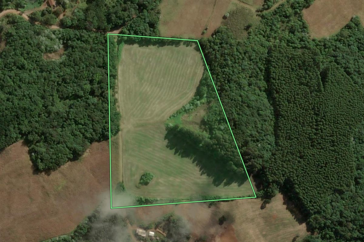 Imagem de satélite do imóvel rural em Jaborá (SC), com o contorno declarado no CAR desenhado por cima.