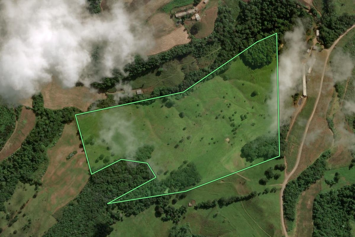 Imagem de satélite do imóvel rural em Jaborá (SC), com o contorno declarado no CAR desenhado por cima.