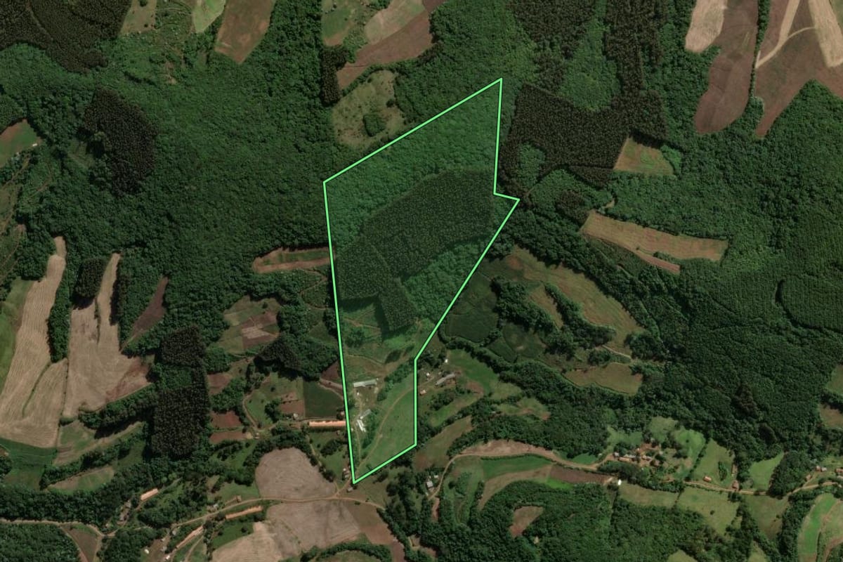 Imagem de satélite do imóvel rural em Jaborá (SC), com o contorno declarado no CAR desenhado por cima.