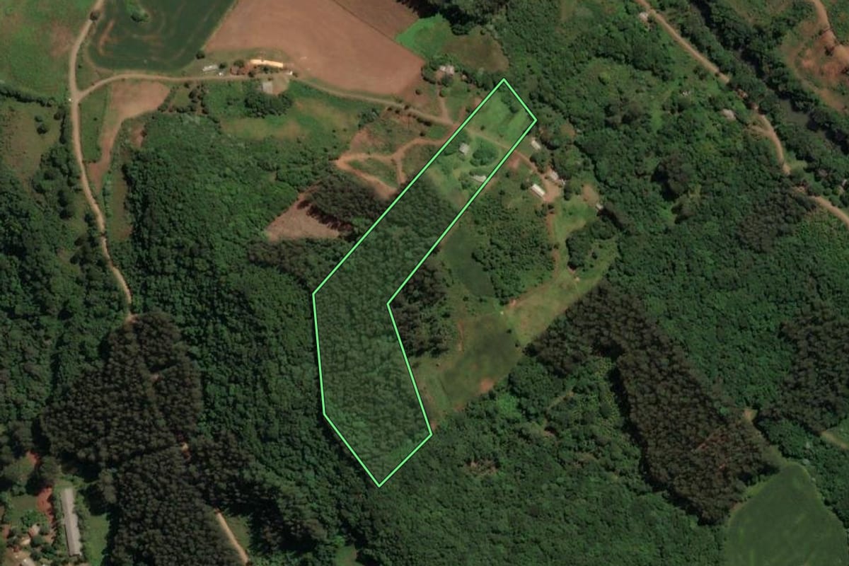 Imagem de satélite do imóvel rural em Jaborá (SC), com o contorno declarado no CAR desenhado por cima.