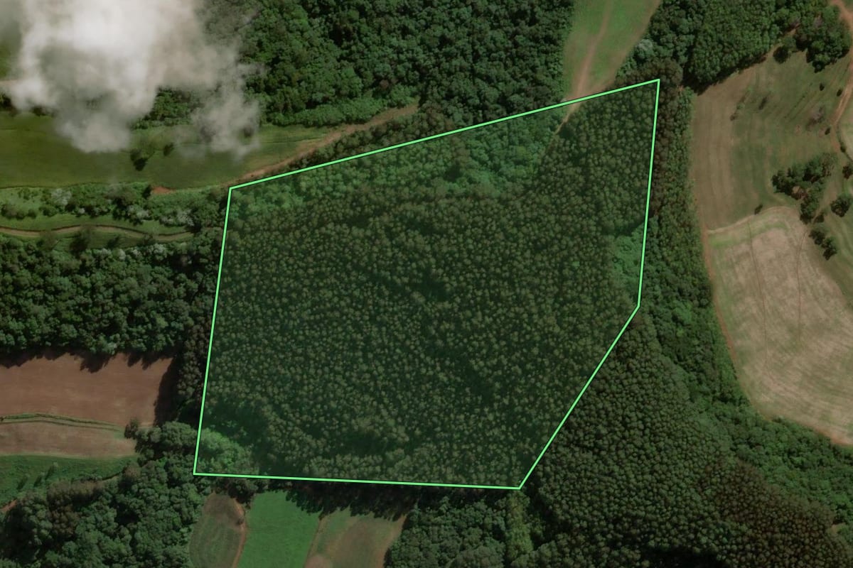 Imagem de satélite do imóvel rural em Jaborá (SC), com o contorno declarado no CAR desenhado por cima.