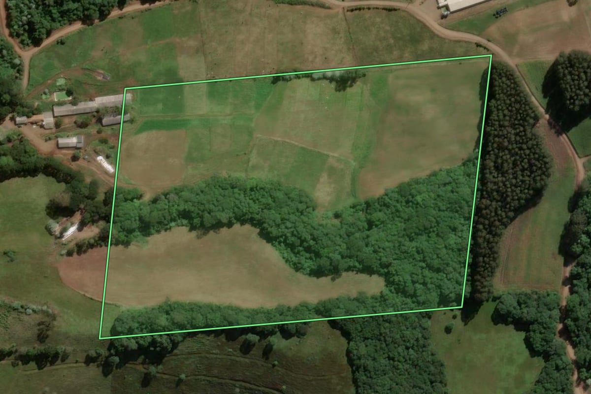 Imagem de satélite do imóvel rural em Jaborá (SC), com o contorno declarado no CAR desenhado por cima.