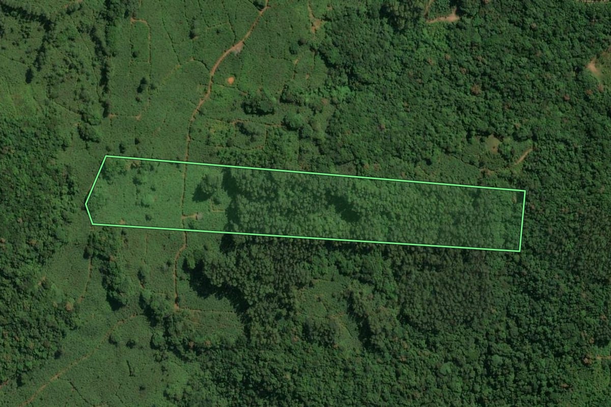 Imagem de satélite do imóvel rural em Jacinto Machado (SC), com o contorno declarado no CAR desenhado por cima.