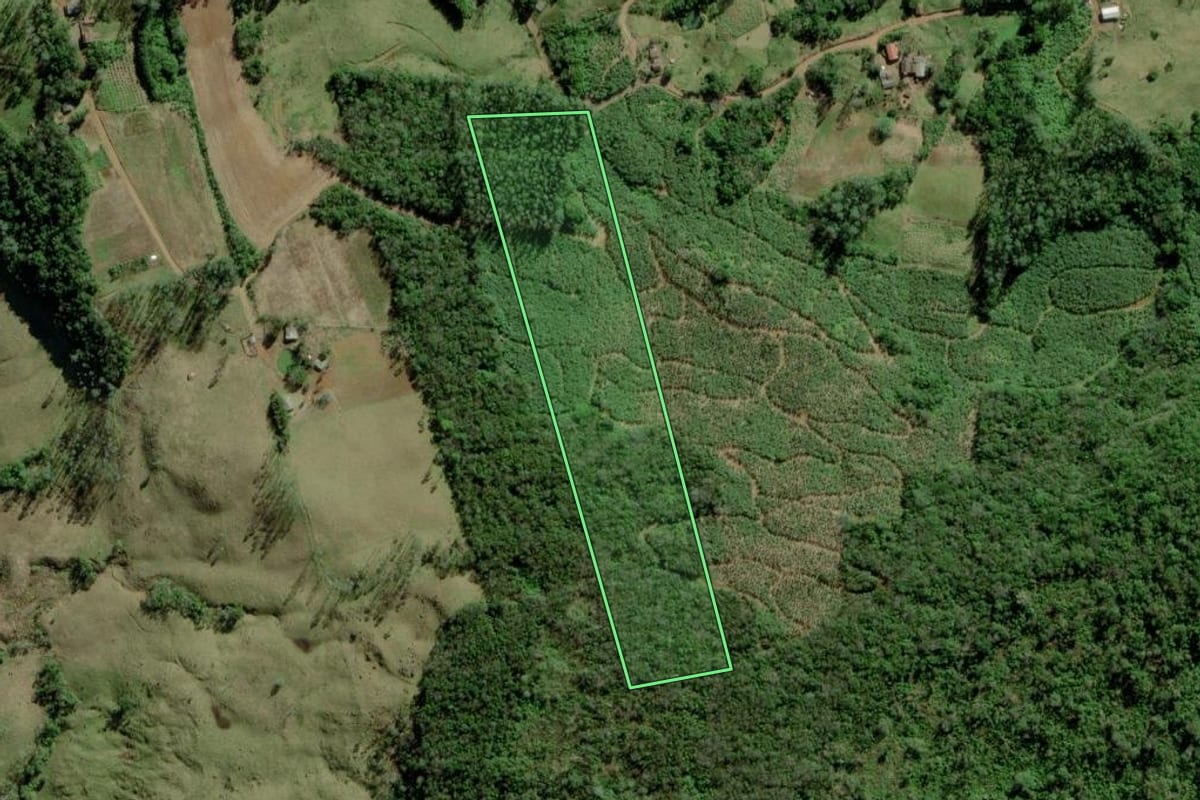 Imagem de satélite do imóvel rural em Jacinto Machado (SC), com o contorno declarado no CAR desenhado por cima.