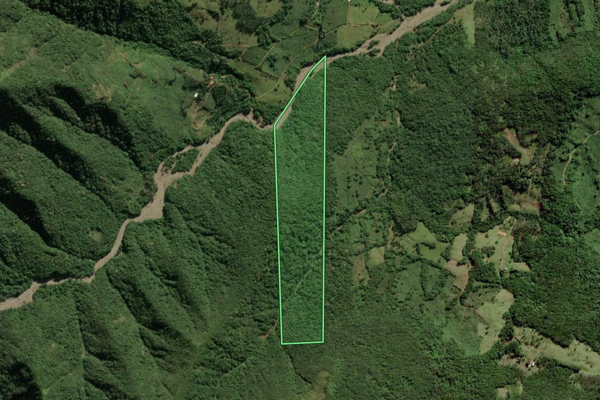 Imagem de satélite do imóvel rural em Jacinto Machado (SC), com o contorno declarado no CAR desenhado por cima.