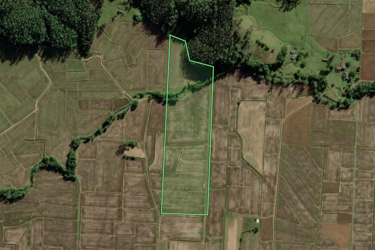Imagem de satélite do imóvel rural em Jacinto Machado (SC), com o contorno declarado no CAR desenhado por cima.