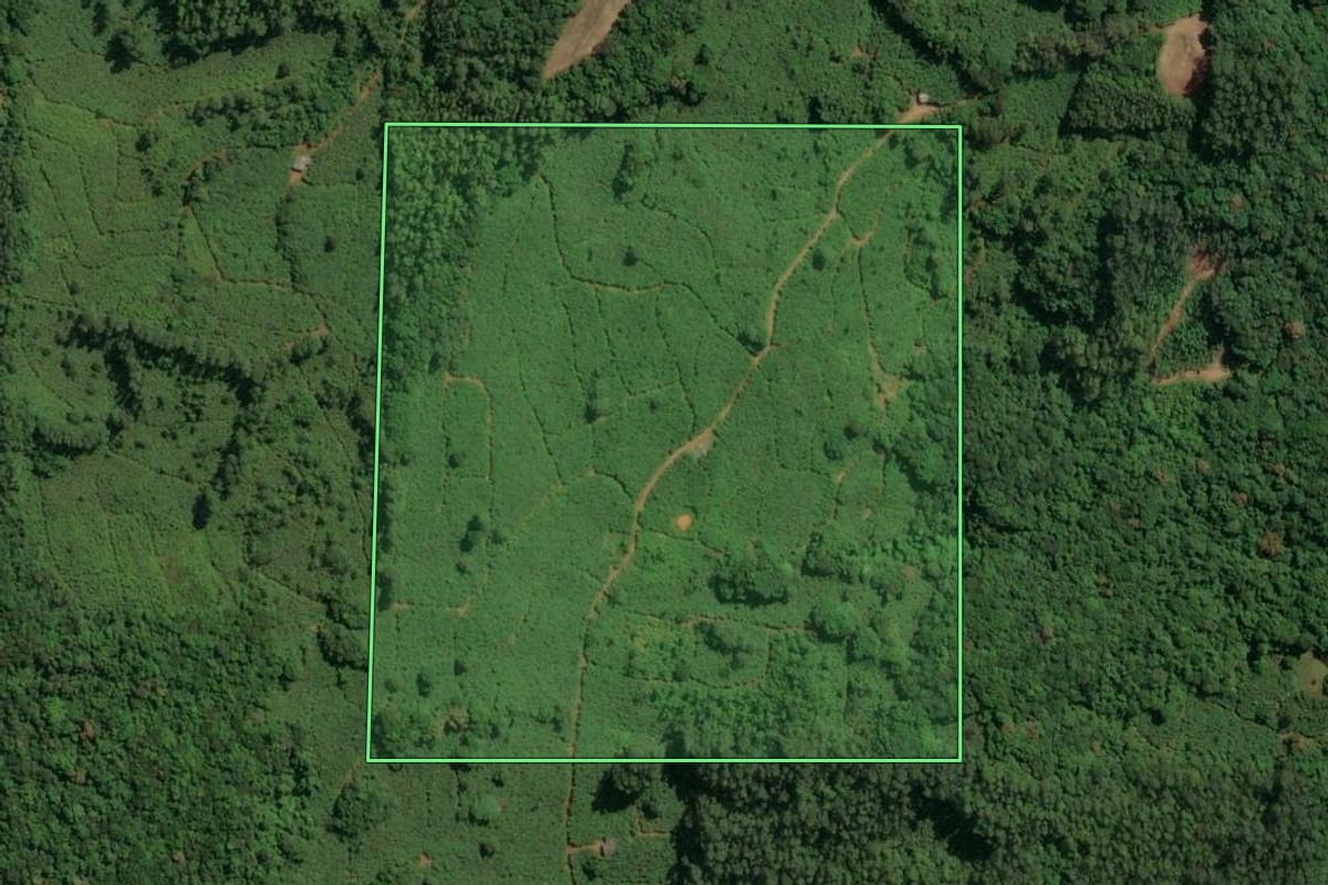 Imagem de satélite do imóvel rural em Jacinto Machado (SC), com o contorno declarado no CAR desenhado por cima.