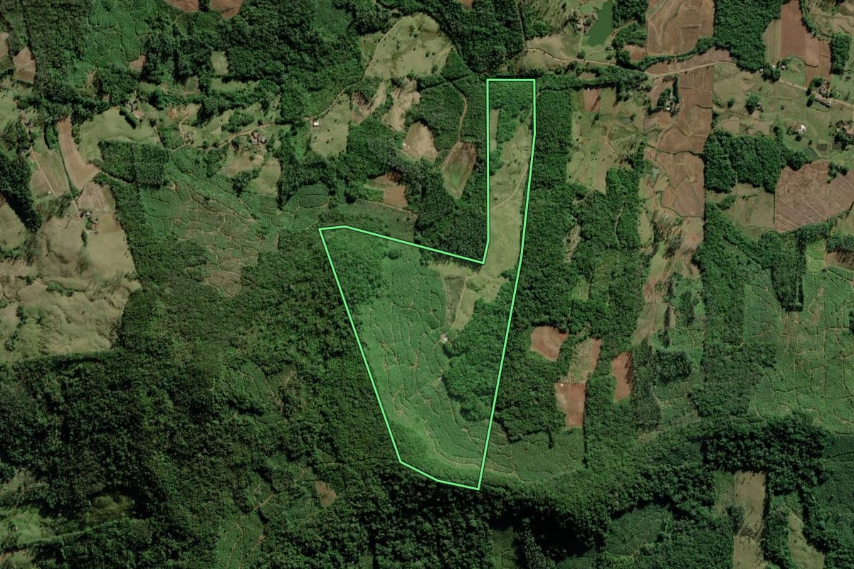Imagem de satélite do imóvel rural em Jacinto Machado (SC), com o contorno declarado no CAR desenhado por cima.