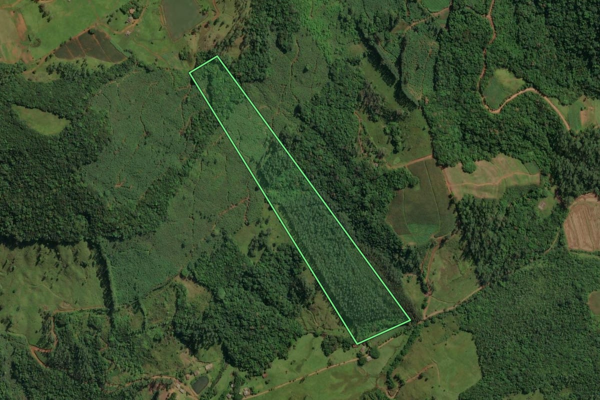 Imagem de satélite do imóvel rural em Jacinto Machado (SC), com o contorno declarado no CAR desenhado por cima.
