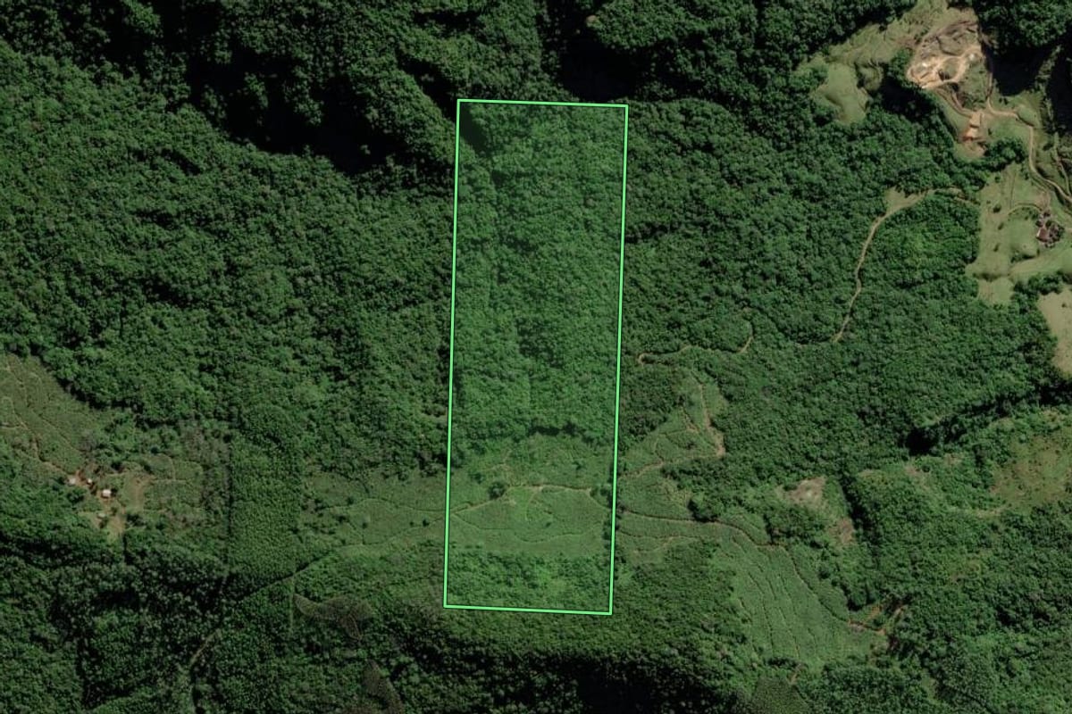 Imagem de satélite do imóvel rural em Jacinto Machado (SC), com o contorno declarado no CAR desenhado por cima.