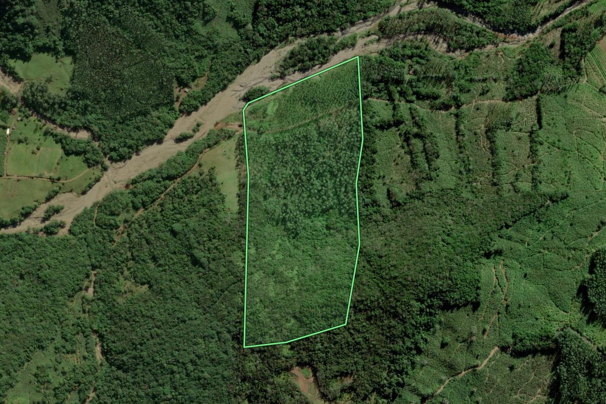 Imagem de satélite do imóvel rural em Jacinto Machado (SC), com o contorno declarado no CAR desenhado por cima.