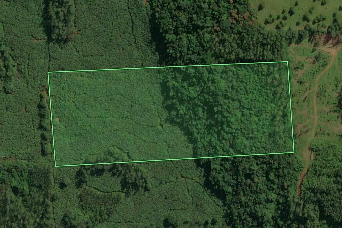 Imagem de satélite do imóvel rural em Jacinto Machado (SC), com o contorno declarado no CAR desenhado por cima.