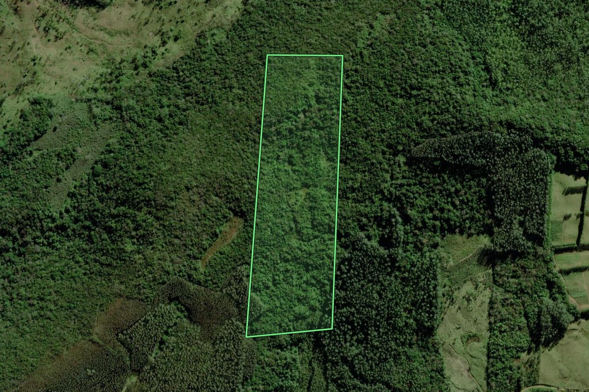 Imagem de satélite do imóvel rural em Jacinto Machado (SC), com o contorno declarado no CAR desenhado por cima.