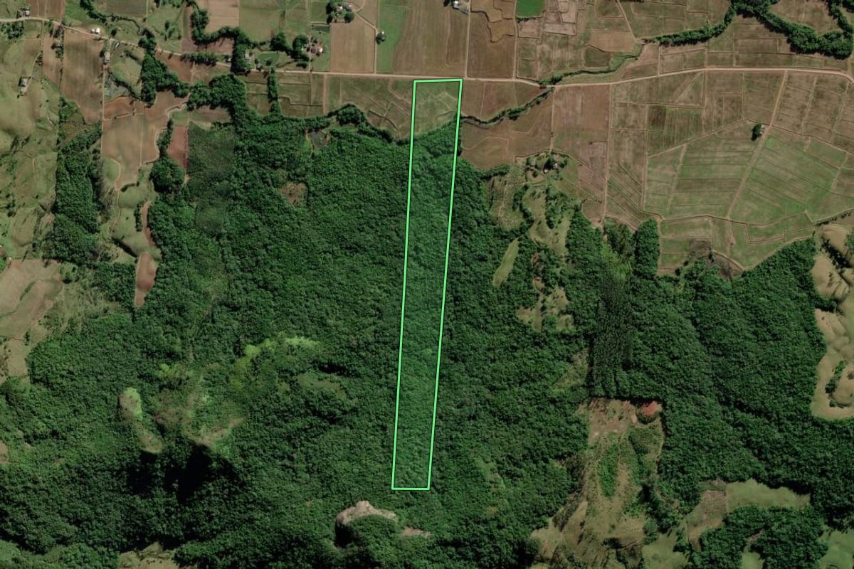 Imagem de satélite do imóvel rural em Jacinto Machado (SC), com o contorno declarado no CAR desenhado por cima.