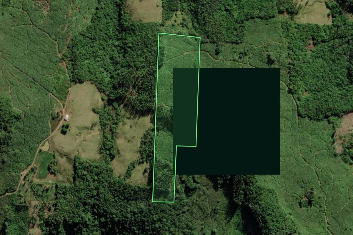 Imagem de satélite do imóvel rural em Jacinto Machado (SC), com o contorno declarado no CAR desenhado por cima.