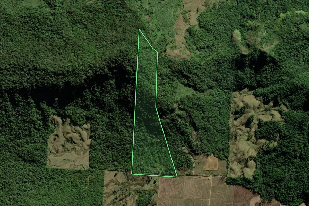 Imagem de satélite do imóvel rural em Jacinto Machado (SC), com o contorno declarado no CAR desenhado por cima.