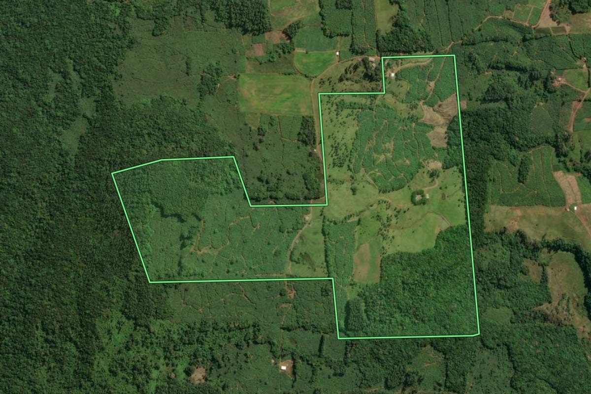 Imagem de satélite do imóvel rural em Jacinto Machado (SC), com o contorno declarado no CAR desenhado por cima.
