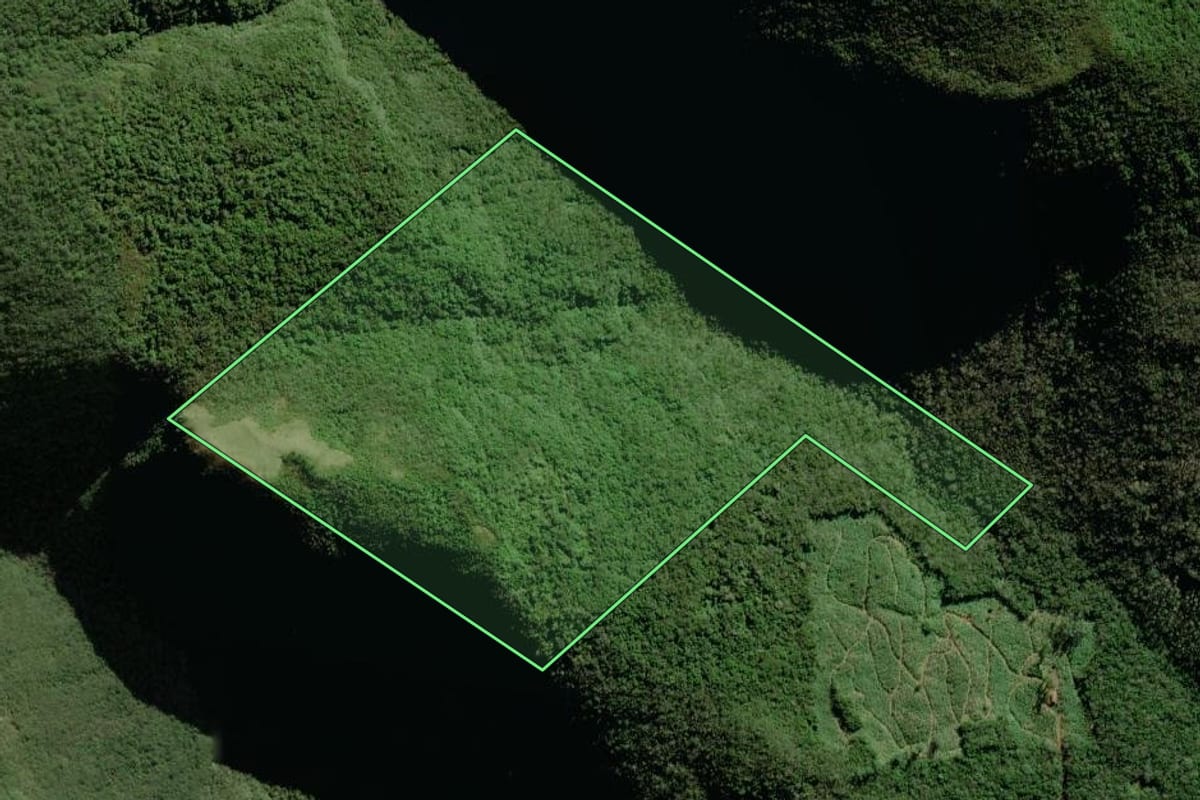 Imagem de satélite do imóvel rural em Jacinto Machado (SC), com o contorno declarado no CAR desenhado por cima.